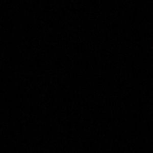 Meet your Posher, Whitney